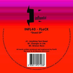 FLeCK -  Changes In Life