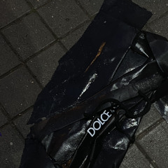 Autotune Angel - Hollow Knight