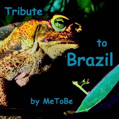 Tibute to Brazil