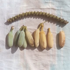 Naomi W / Jamais Vu 0.1