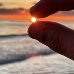 SOS - Avici (Cover by Ellen Mitchell)