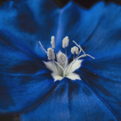 Vulnerable (Prod. BeMaddBeats)