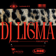 DJ LIGMA / Sessions-Lambada#12