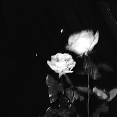Розы (prod. by melvnchxliv? & whyonly18)