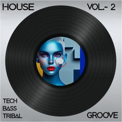 Electronic House-0002