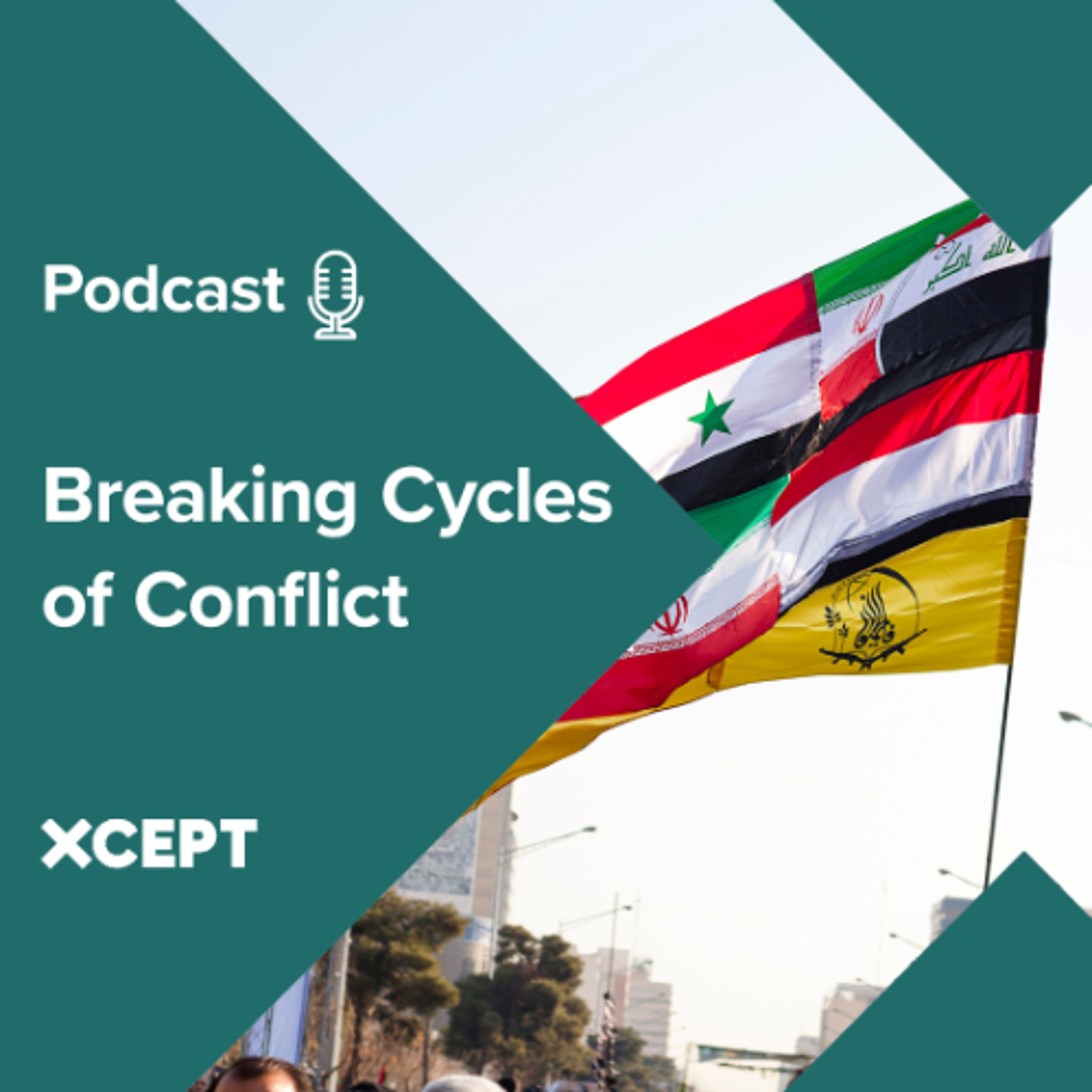 The national and transnational dynamics of Iraq's Islamic Resistance landscape