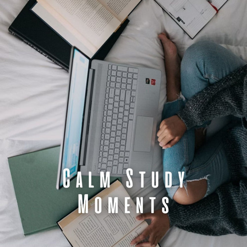 Stream Mindful Lofi Retreat by Lofi for Study | Listen online for free ...