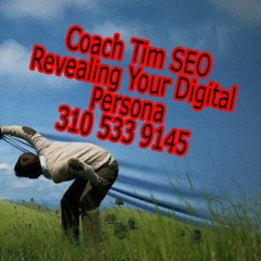 Persona SEO Social SEO 310 533 9145