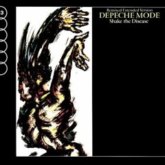 Depeche Mode - Shake The Disease (Skinflutes Bipolar Mix).mp3