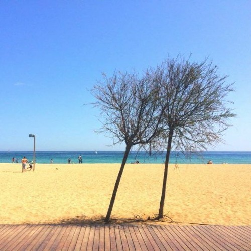 before the summer