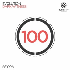Evolution - Dark Witness (Slingshot Recordings)