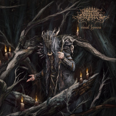 Blood Kingdom (a Deathless Shade) [feat. Lucca Schmerler & Zxyvixs]