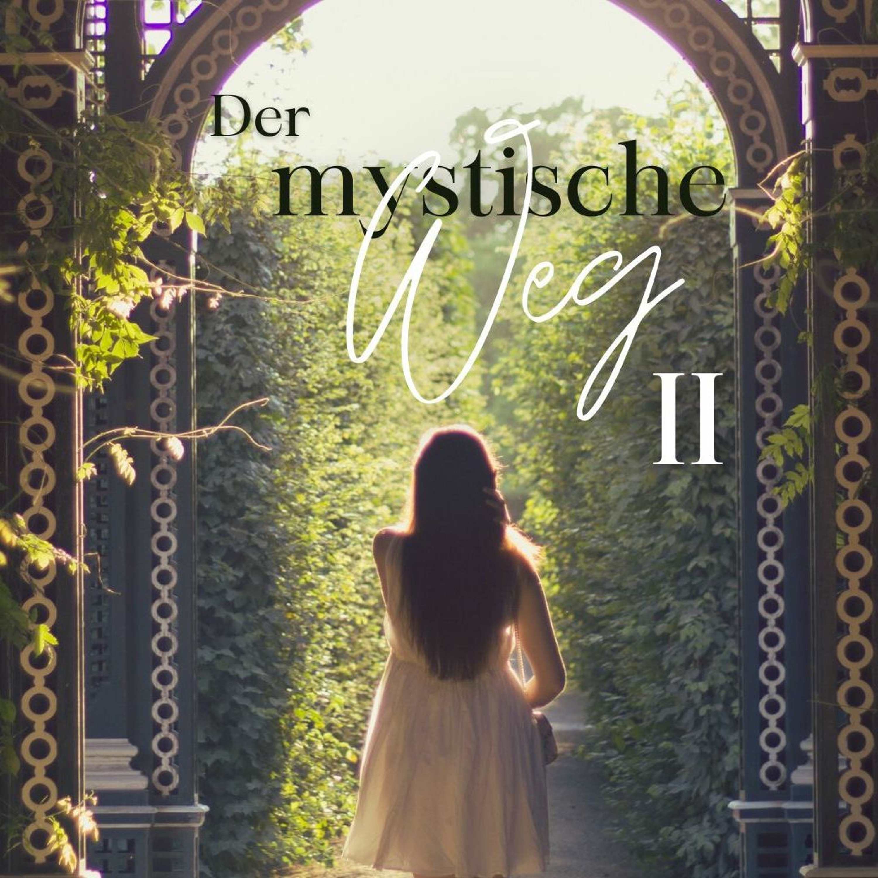 Das Licht scheint in der Finsternis - Die Kraft der Beichte | The power of confession - Chris episode artwork