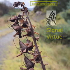 Signal Virtue