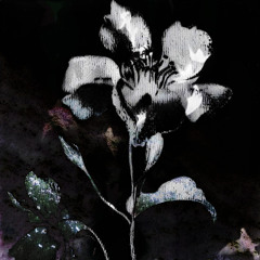 your voice (my comfort)