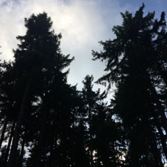 Bazantarnia W Siemianowicach Slaskich, Poland