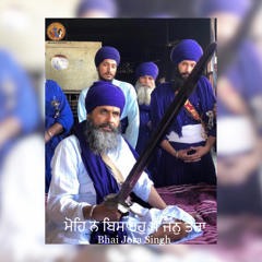 Mohe Na Bisaro - Bhai Jora Singh