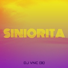 DJ VNC - Siniorita
