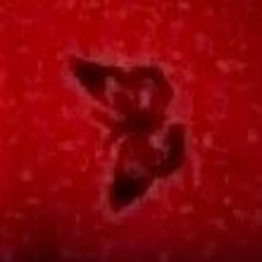 My Bad (prod. zac coaston)