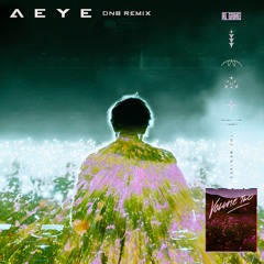 RL GRIME - SHRINE (AEYE FLIP)