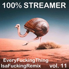 Streamer-EveryFuckingThingisaFuckingRemix vol 11