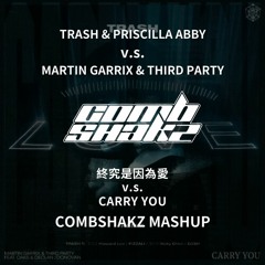 TRASH v.s. Martin Garrix & Third Party - 終究還是因為愛 v.s. Carry You (Combshakz Mashup)