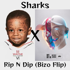 Sharks Rip N Dip