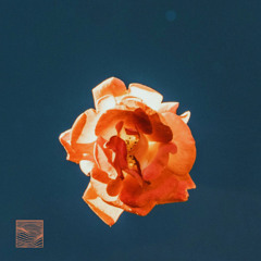 FLUME - NEVER BE LIKE YOU FT. KAI [KAIYO REMIX]