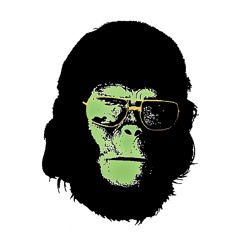 Studio Néau - Episode #11 - 22/011/25