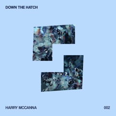 DOWN THE HATCH 002 - Harry McCanna | FuturePast x Shelter 31-12-2022