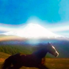 putting the work in - demo