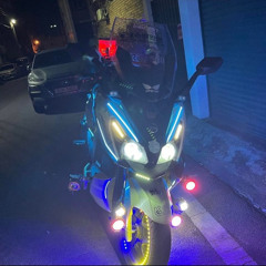 tribute 1.2배속