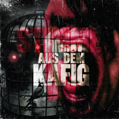 STIMME AUS DEM KÄFIG