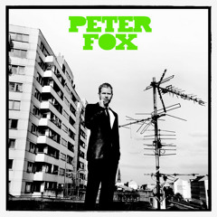 Peter Fox - Zucker (René Janihsek Remix)