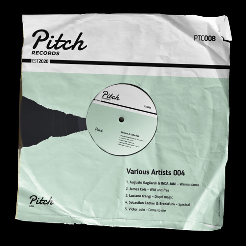 Pitch Premiere James Cole Wild And Free Original Mix By Pitch Records Pitch Premiere James Cole Wild And Free Original Mix By Pitch Records