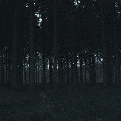 Falling Light