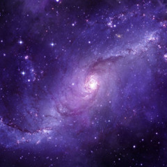 I'm flying to the Stars - Gert Holle