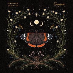 PREMIERE: Madraas - Aurora [Songuara]