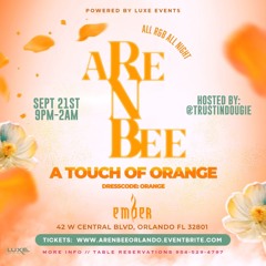 Are N Bee Orlando "A Touch of Orange"! Dj's Squall, Intel, Diversity, Dj Dougie, SlimCity Vibedatt!