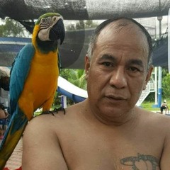 Si Saben Como Me Pongo - DON MARTIN COMPOSITOR