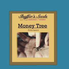 Summer Vs Winter (prod. Mase97, Dj Khuu)