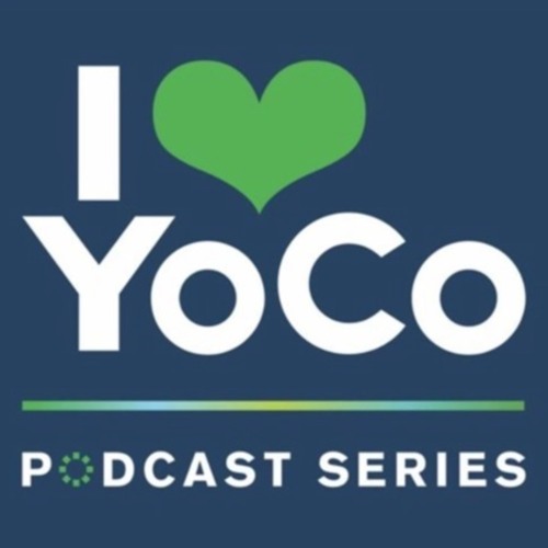 Get Outside: Discover YoCo's Thriving Recreational Sports Economy