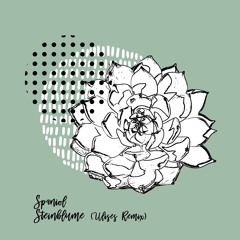 Spaniol - Steinblume (ulises Remix) [trndmsk]