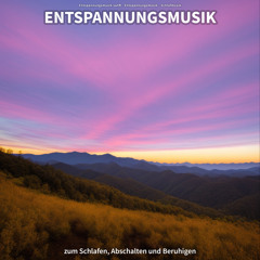 Stille Aura