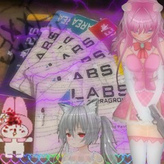 labs44 (nekoboy)