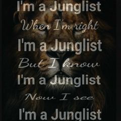 Bitter Sweet Junglist-Head