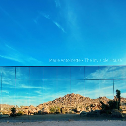 The Invisible House - Joshua Tree