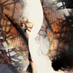 The Book of Love by the Magnetic Fields