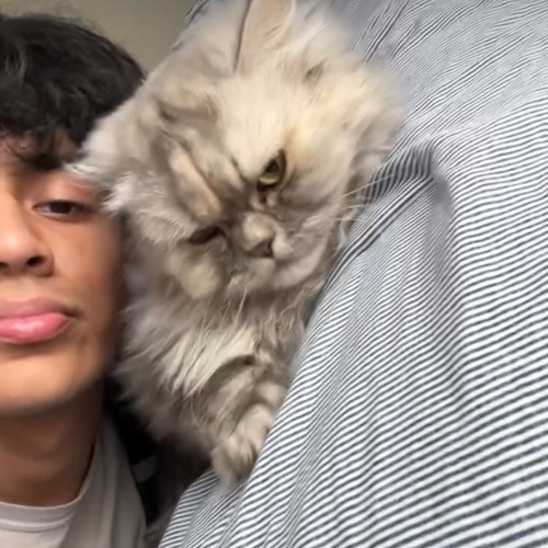 Yadier - Text Back (Prod. Simon) [DREAMTHUGEXCLUSIVE]