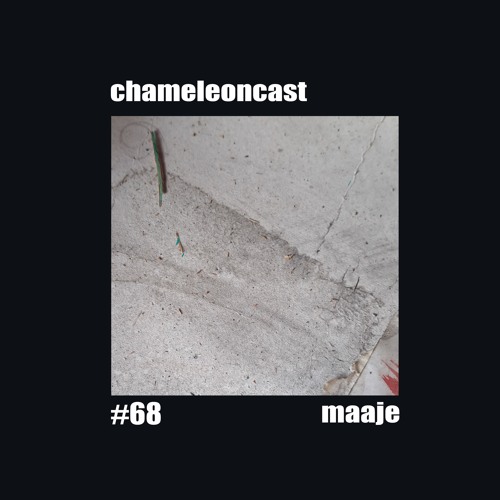 chameleon #68 - maaje
